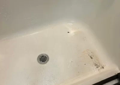 Reliable Home Cleaning Services